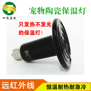 探尋寵物蜂產業 從價格、采購到供應商的全面解析